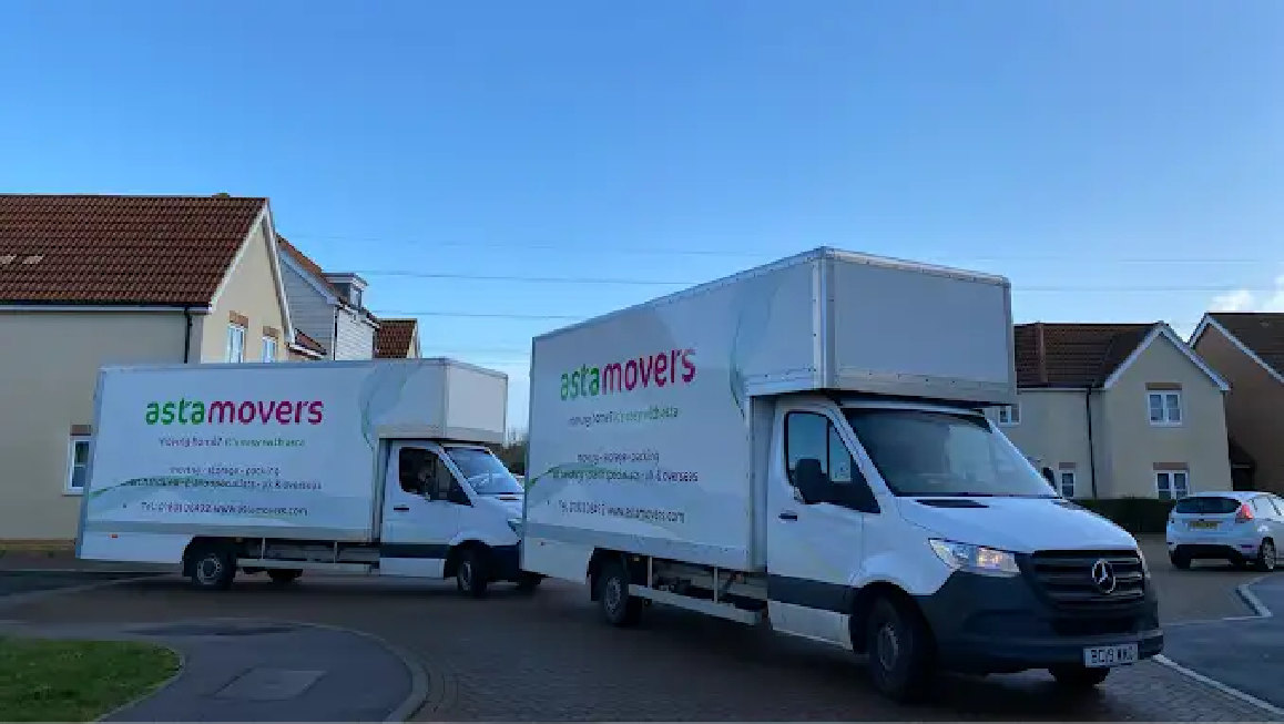 asta movers vans